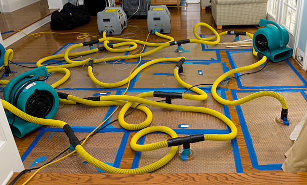 Professional Flood Damage Restoration technician working in Frankfort, IL